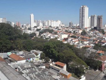 Apartamento - Aluguel - Cambuci - São Paulo - SP
